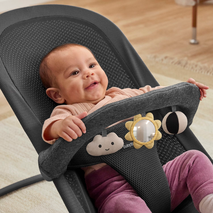 Babybjorn - Speelgoed voor wipstoel - Zonnige vriendjes