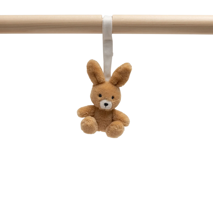 Jollein - Babygym Speeltjes - Jollies