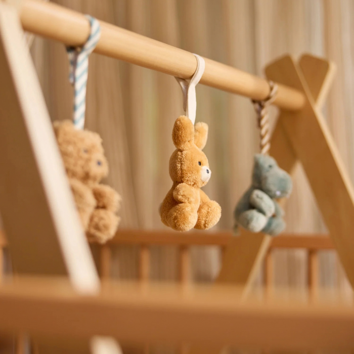 Jollein - Babygym Speeltjes - Jollies
