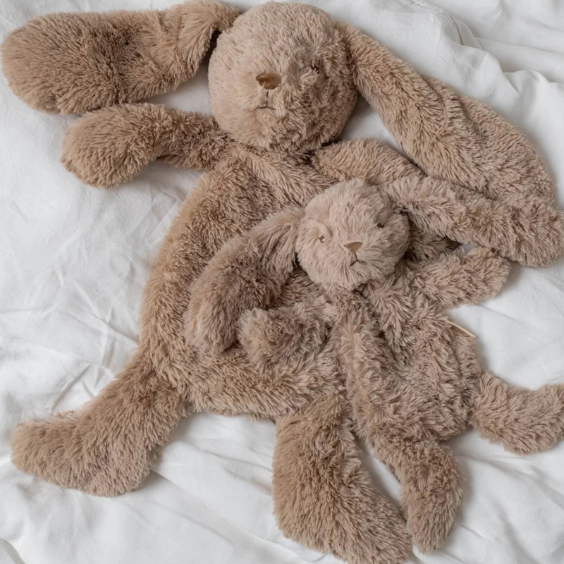 That's mine - Houston heavy teddy small - Bunny