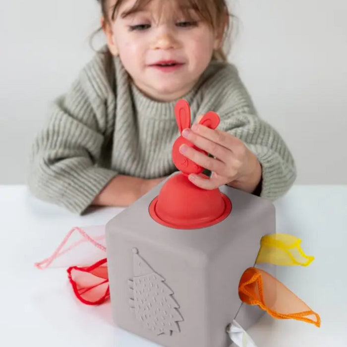 Taf Toys - Pop Up Tissue Box