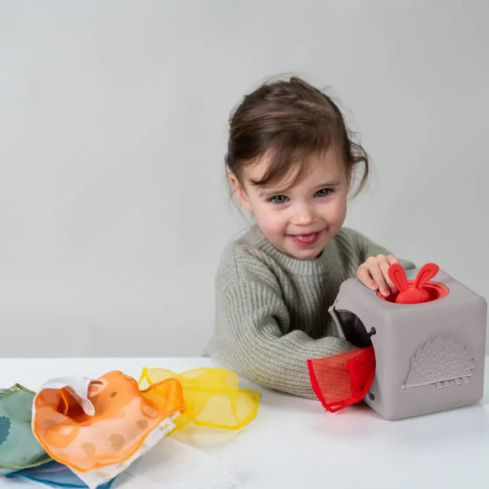Taf Toys - Pop Up Tissue Box