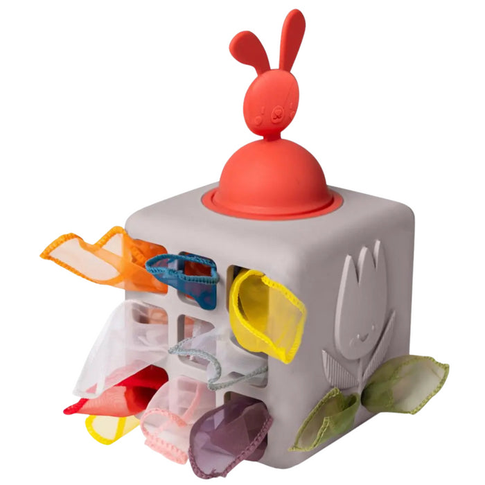 Taf Toys - Pop Up Tissue Box