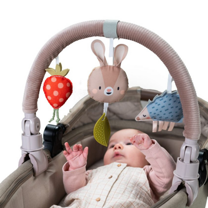 Taf Toys - Musical Bunny Arch