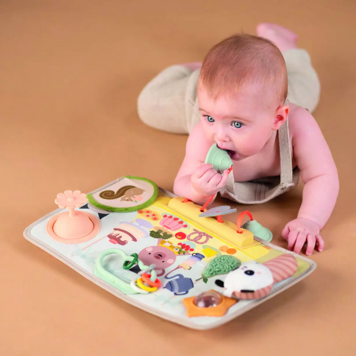 Taf Toys - Peek, Pop & Play Station