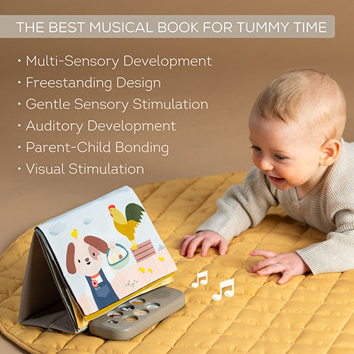 Taf Toys - Farm musical tummy boek