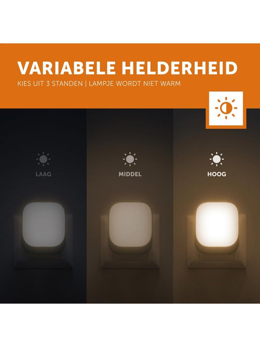 ZAZU - Socket Light - Pink