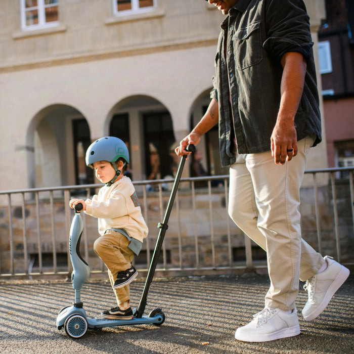 Scoot and Ride - Highwaykick 1 - Push and Go - Steel