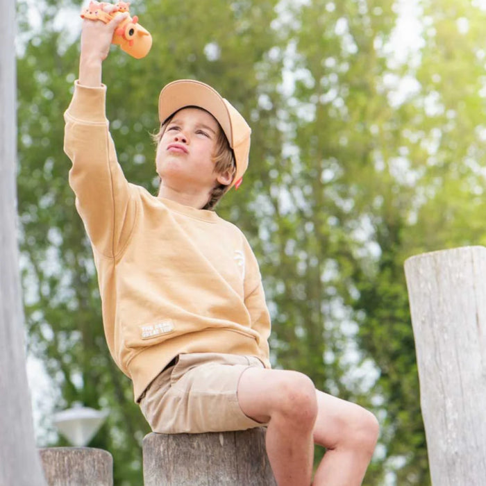 The Zoofamily - Video Fox