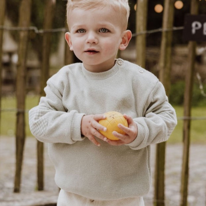 Gymp - Sweater Renzo - Pale Green