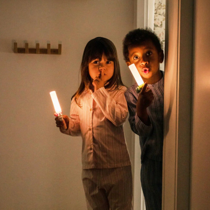 The Zoofamily - Zoo Light Fox