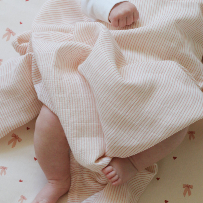 Camcam - Muslin Cloth, 2-Pack - Stripes Rose