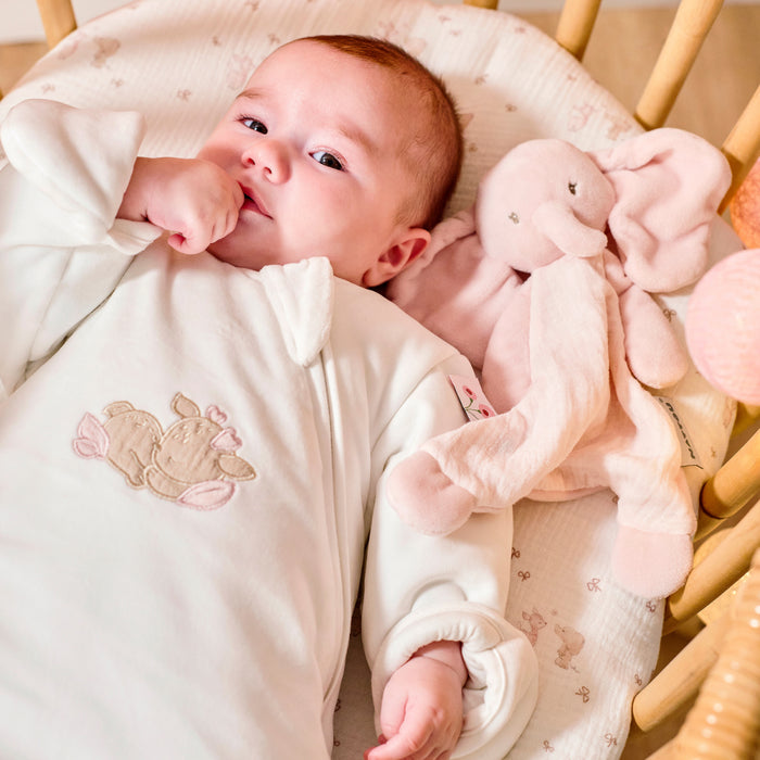 Nattou -FANFAN - Mini doudou Olifant - Roze