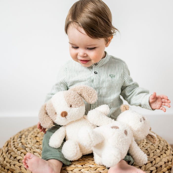 Nattou - TEDDY - Muziekknuffel Babyhond