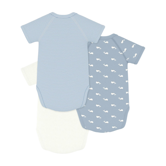 Petit Bateau - Set van 3 katoenen overslagbody's met print en korte mouwen - Blauw