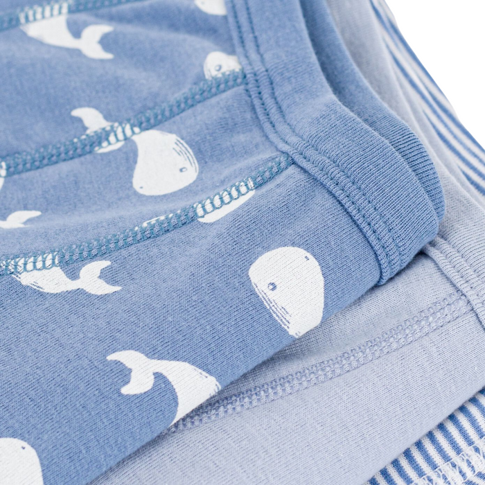 Petit Bateau - Set van 3 boxershorts met walvis