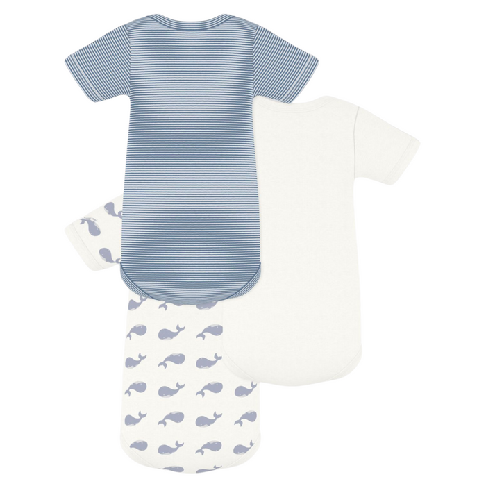 Petit Bateau - Set van 3 body's met korte mouwen - Walvis