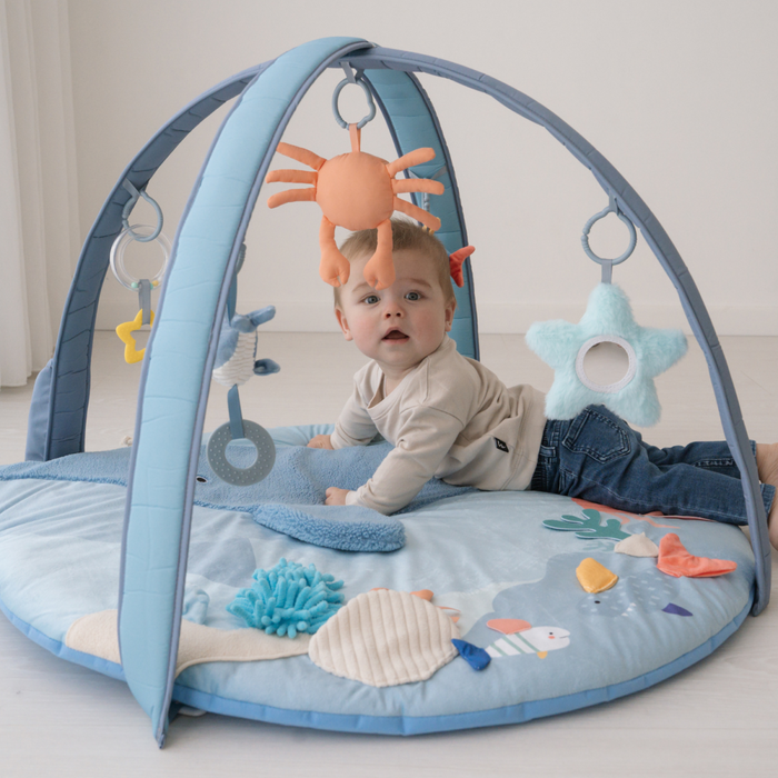 Bo Jungle - 'Little Whale Bay' Musical & Light Play Gym