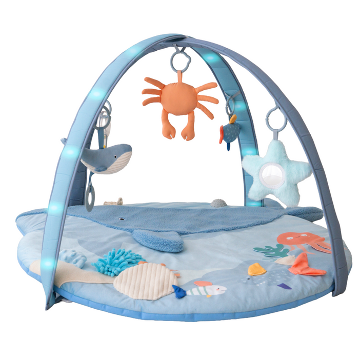 Bo Jungle - 'Little Whale Bay' Musical & Light Play Gym