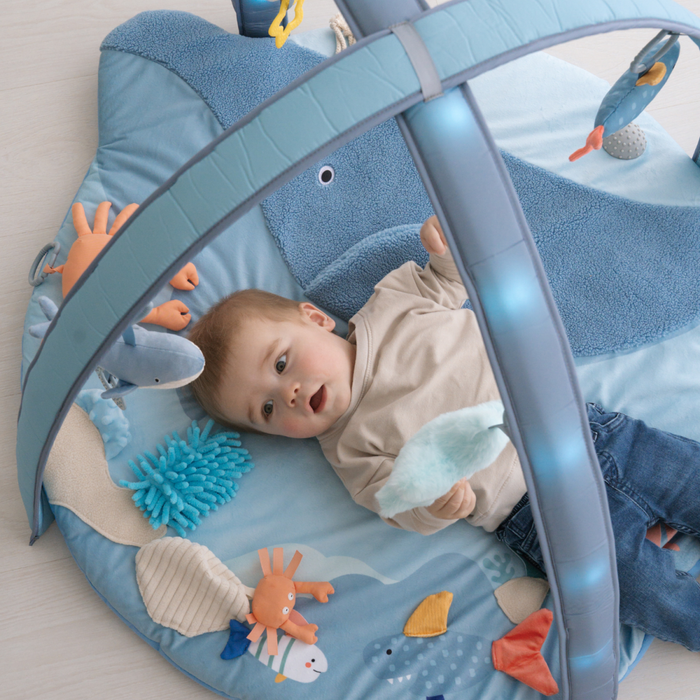 Bo Jungle - 'Little Whale Bay' Musical & Light Play Gym
