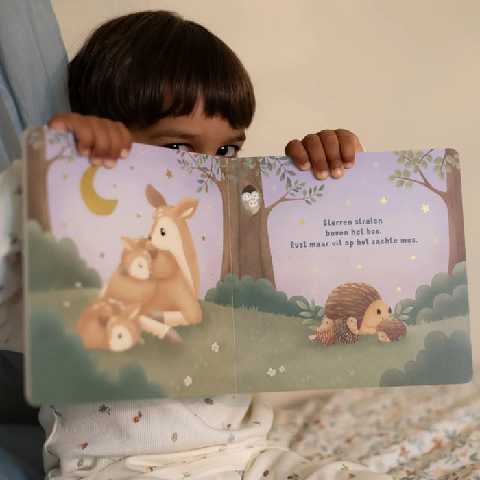 Little Dutch - Welterusten kleintje