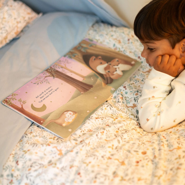 Little Dutch - Welterusten kleintje