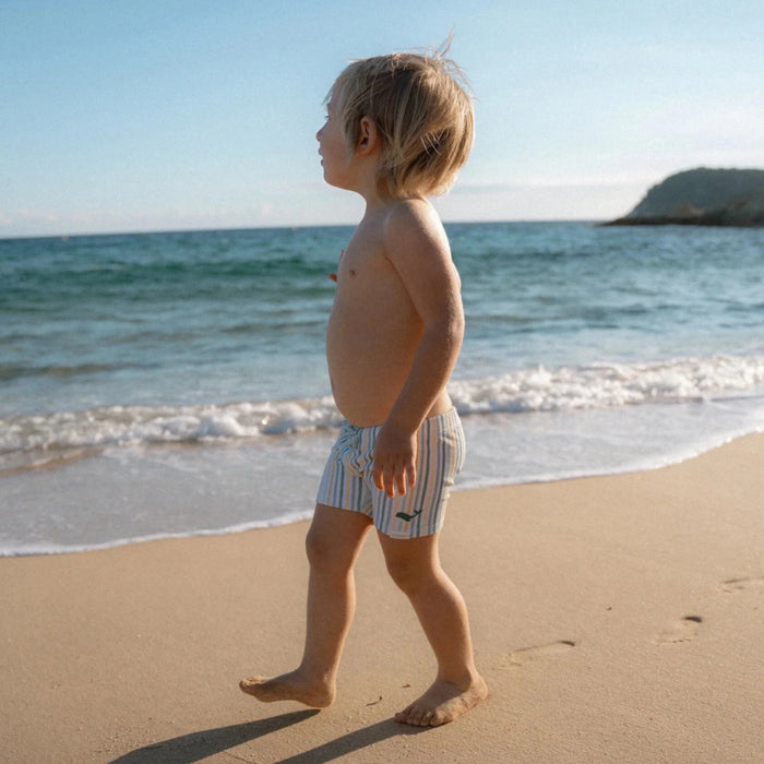 Little Dutch - Zwembroek - Meerkleurig - Seashells and Stripes