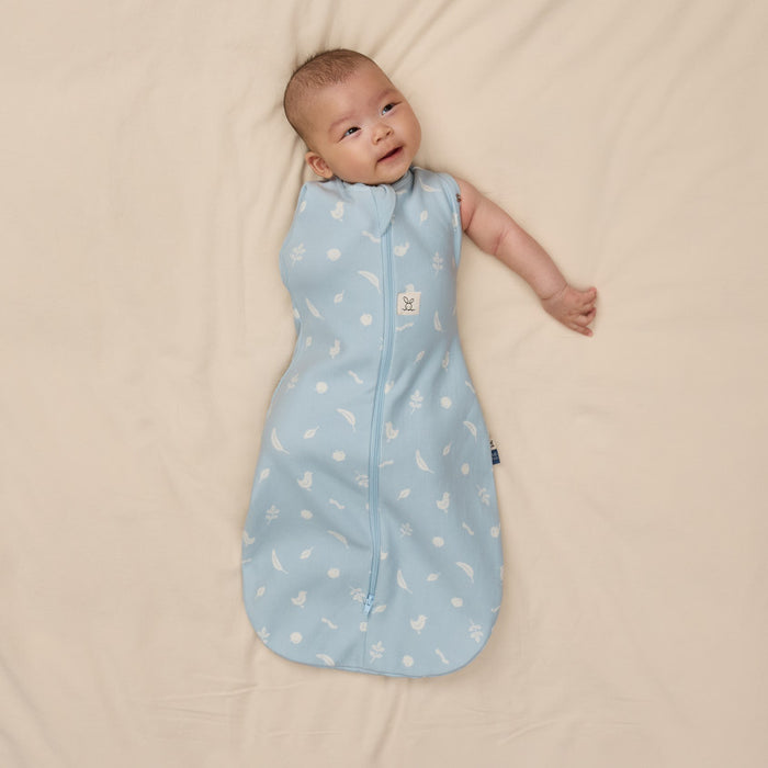 ErgoPouch - Cocoon inbaker slaapzak - Ducks (TOG 1.0)
