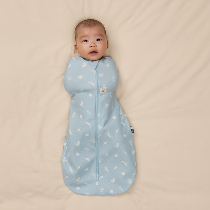 ErgoPouch - Cocoon inbaker slaapzak - Ducks (TOG 1.0)