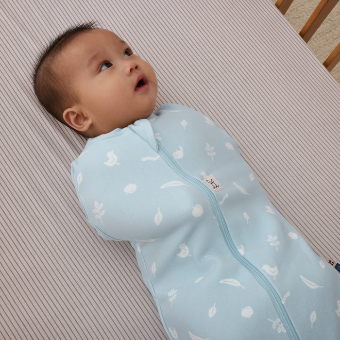 Ergopouch - Cocoon inbaker slaapzak - Ducks (TOG 2.5)