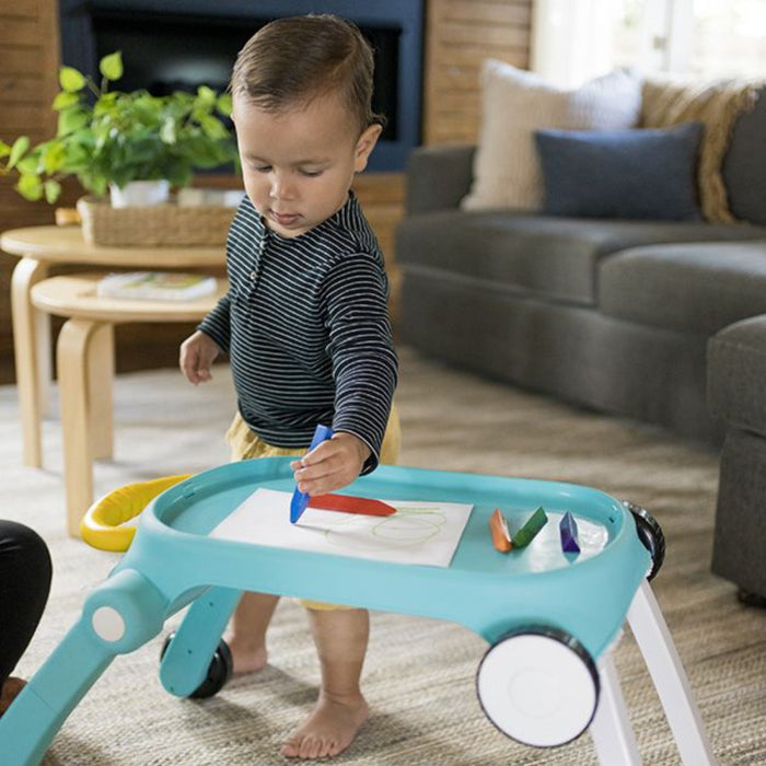 Baby Einstein - Musical Mix 'n Roll