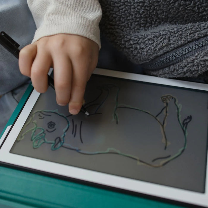 Kidywolf - KIDYDRAW-MINI tekenblok  - Dieren over de hele wereld