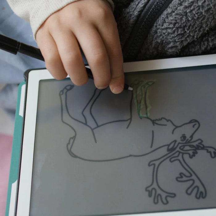 Kidywolf - KIDYDRAW-MINI tekenblok  - Dieren over de hele wereld