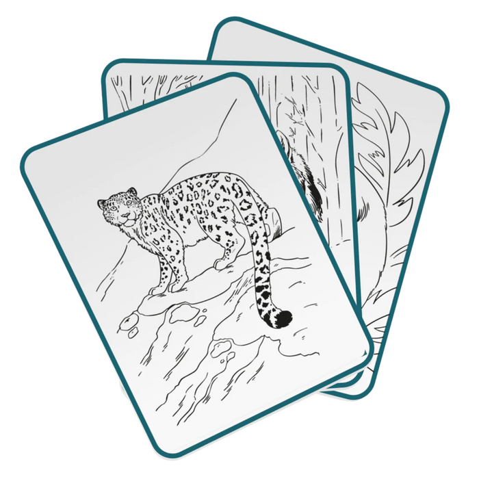 Kidywolf - Kidydraw-Pad - Animals
