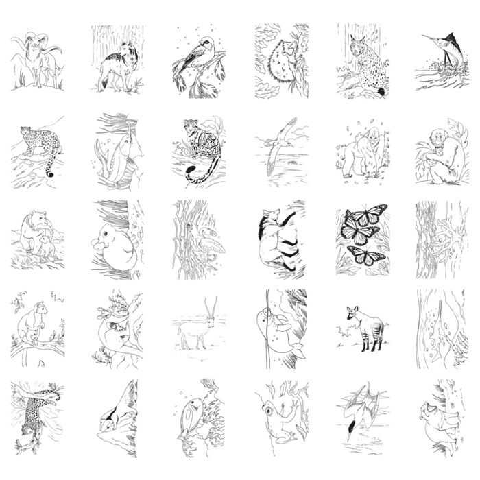 Kidywolf - Kidydraw-Pad - Animals