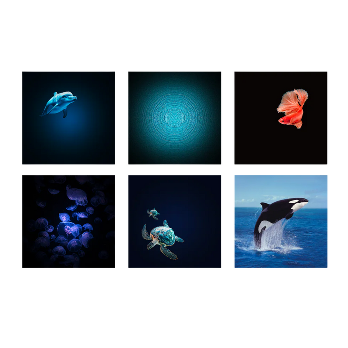 Kidywolf - Kidystar - Beeldprojector Oceanen en zeeën - Muntgroen