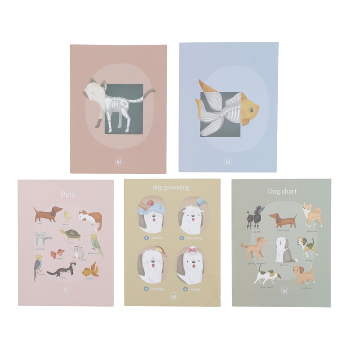 Little Dutch - Dierenarts set FSC