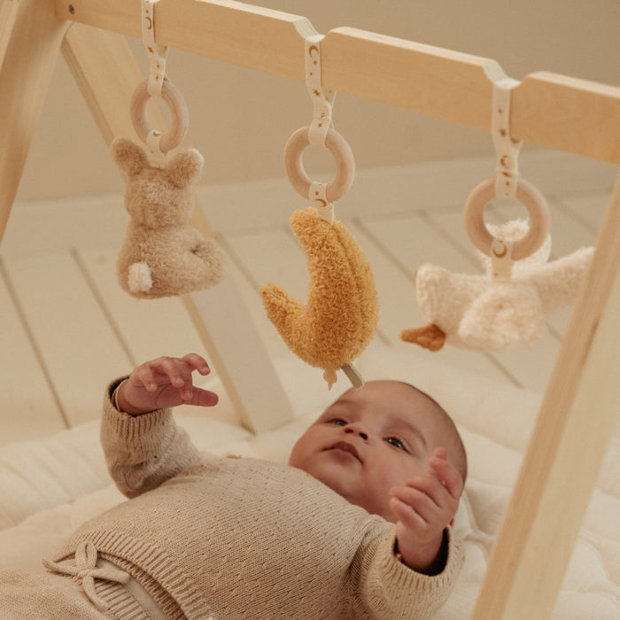 Little Dutch - Babygym Newborn Naturals