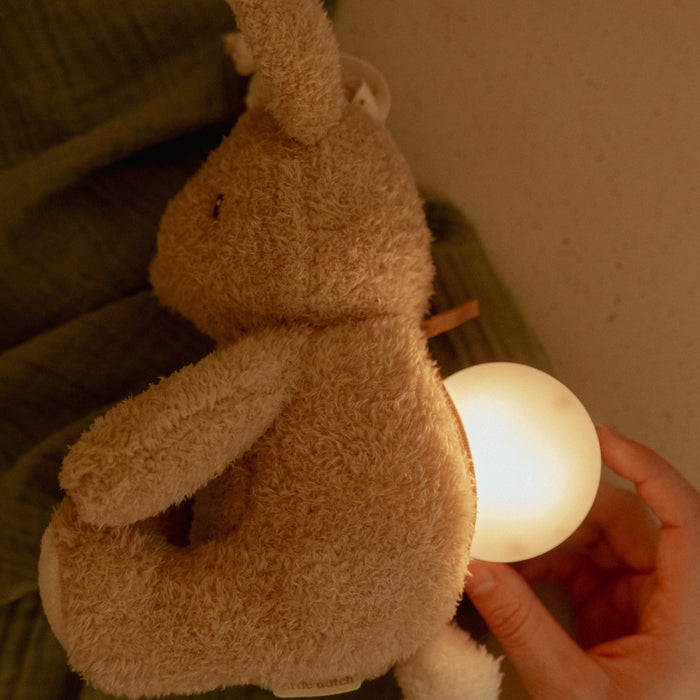 Little Dutch - Knuffelkonijn Licht & Geluid GRS