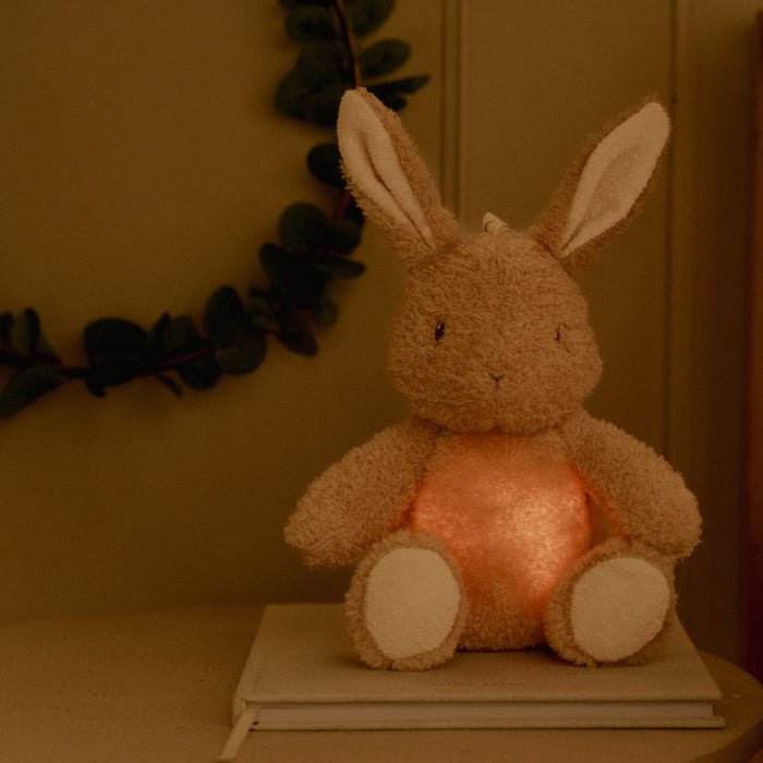 Little Dutch - Knuffelkonijn Licht & Geluid GRS