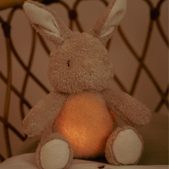 Little Dutch - Knuffelkonijn Licht & Geluid GRS