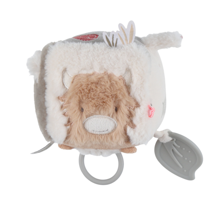 Noukies - Activiteitenkubus Fluffy