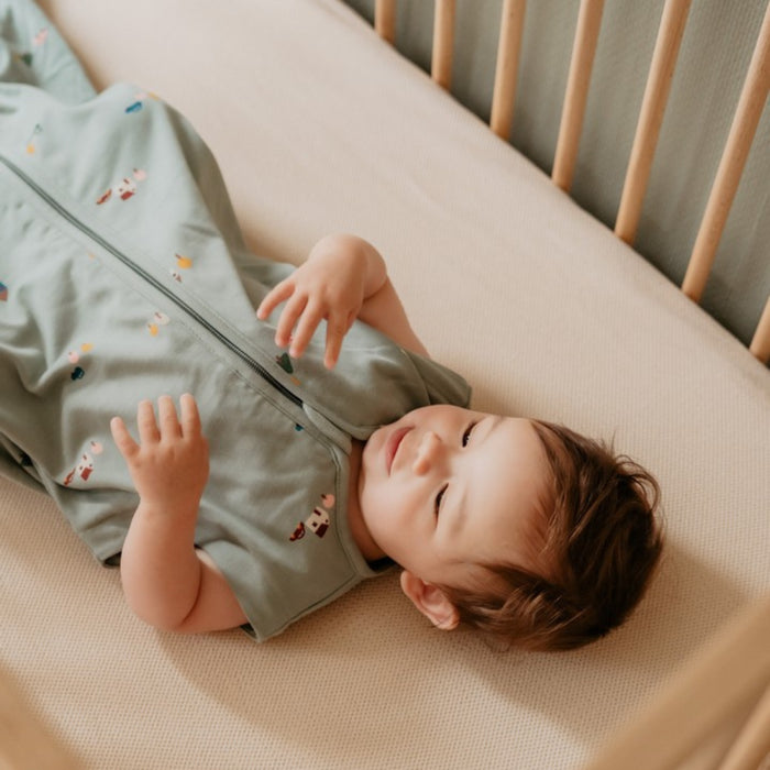 Puckababy The Bag 4 Seasons - 6 M/2.5 Y | 100 CM  - Tiny village