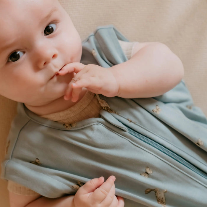 Puckababy The Bag 4 Seasons - 6 M/2.5 Y | 100 CM  - Bunnies