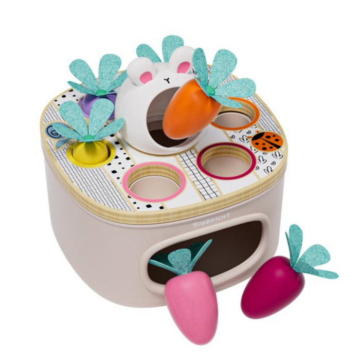 Topbright - MATCH & SORT CARROTS