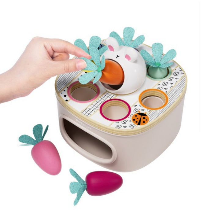 Topbright - MATCH & SORT CARROTS