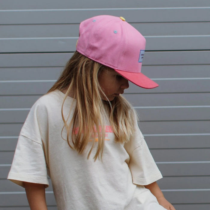 Hello Hossy - Pet Mini Gummy