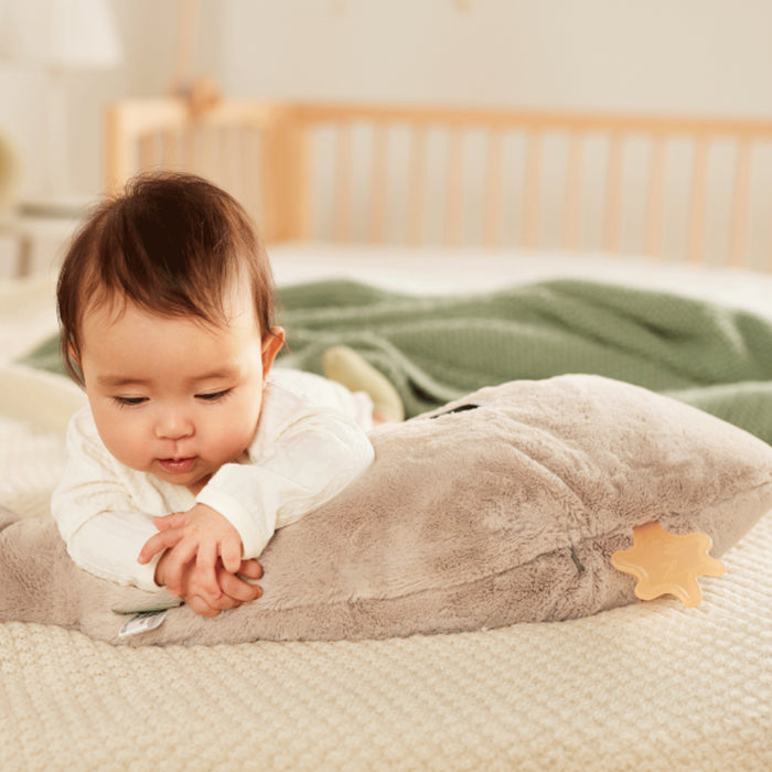 Topbright - SOOTHING WHALE