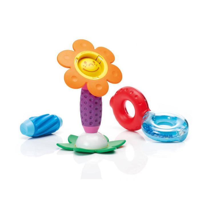 Smartmax - My first sound & flowers