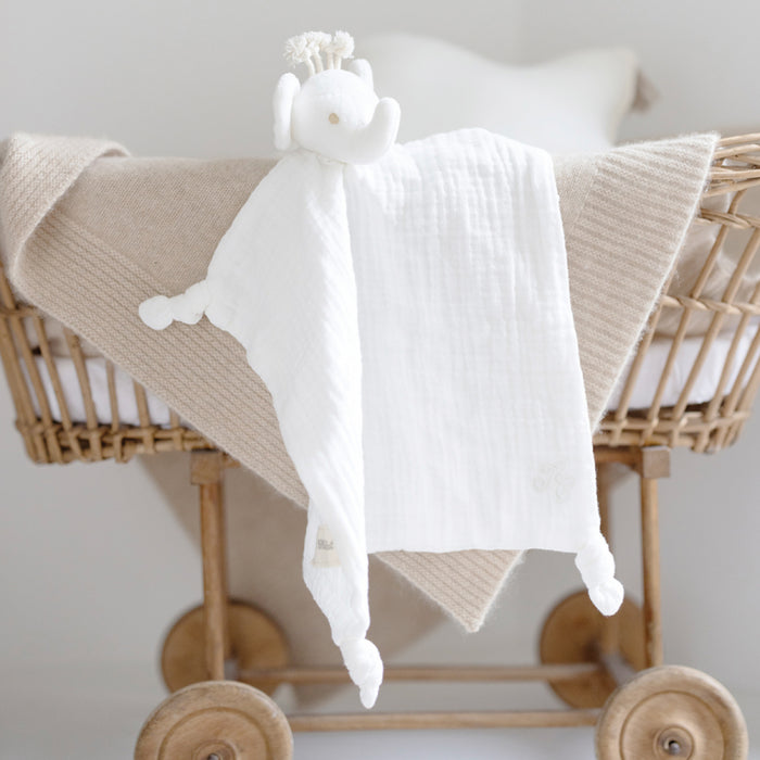 Tartine et Chocolat - Ligne coton bio - DD ELEPH COTBIO Ecru